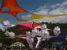 db_PIC_01051